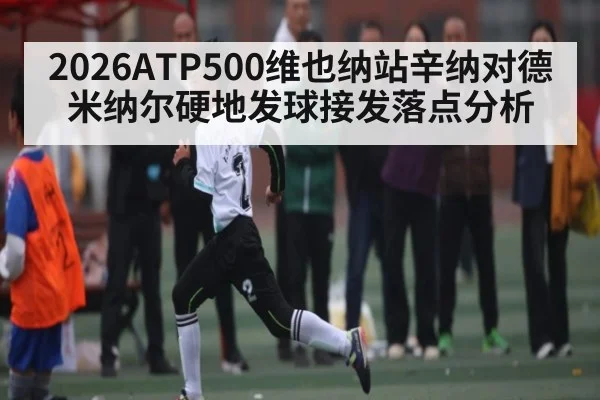 2026ATP500维也纳站辛纳对德米纳尔硬地发球接发落点分析 - PA Stream