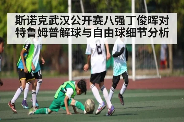 斯诺克武汉公开赛八强丁俊晖对特鲁姆普解球与自由球细节分析 - PA Stream